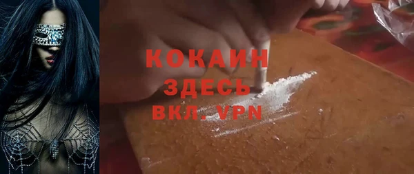 индика Вяземский